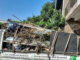 Shed Removal in Atmore, AL